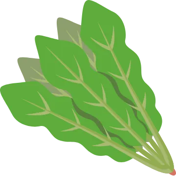 ホウレンソウのイラスト