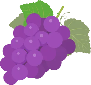 ぶどうのイラスト