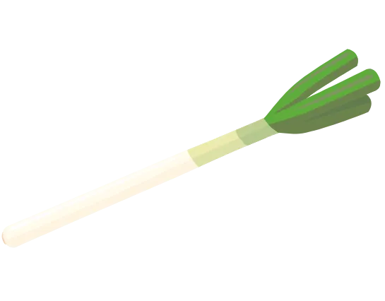 ねぎのイラスト